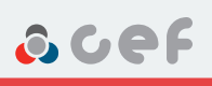 CEF Ref 511649