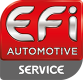 96 852 975 80 EFI AUTOMOTIVE pour PEUGEOT, CITROЁN, FIAT