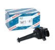 BOSCH Bobina de ignição