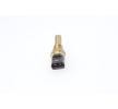 BOSCH Sensor, temperatura do líquido de refrigeração