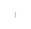 BOSCH Pisca
