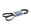 BOSCH Correia trapezoidal estriada