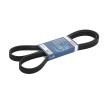 BOSCH Correia trapezoidal estriada