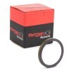 METZGER Anel de sensor, ABS