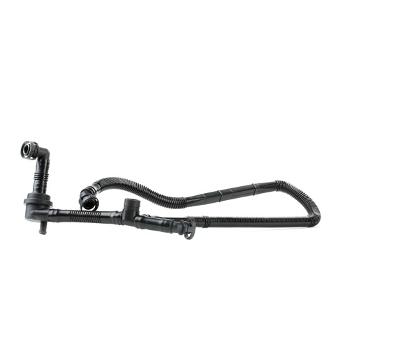 Frankberg Federlager Hinterachse Für Nissan Pulsar C13 2014-2025