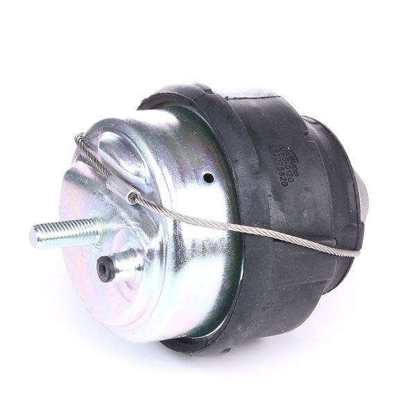 VAICO Suporte, motor