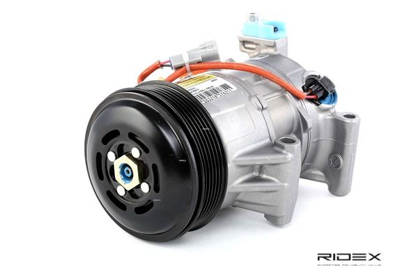Fabricantes da marca original Compressor, ar condicionado 8831002390, 883100D200, 883100D201 de RIDEX para DAIHATSU - Marcas de topo a preços baixos